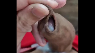 7116 gay amateur porn videos